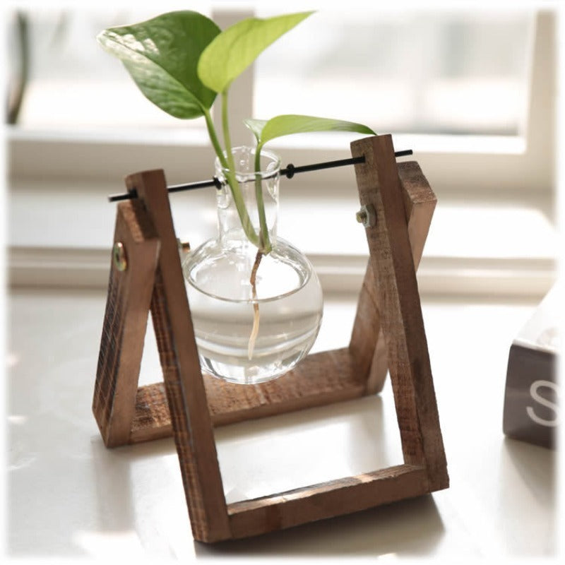 A Complete Kit for a Water Garden Featuring a Minimalist Hydroponic Glass Vase Set with a Wooden Display Stand, Perfect for Growing Herbs And Succulents, Adding a Touch of Elegance to Your Kitchen Or Workspace with Vibrant Greenery
