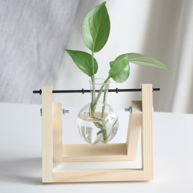 A Complete Kit for a Water Garden Featuring a Minimalist Hydroponic Glass Vase Set with a Wooden Display Stand, Perfect for Growing Herbs And Succulents, Adding a Touch of Elegance to Your Kitchen Or Workspace with Vibrant Greenery