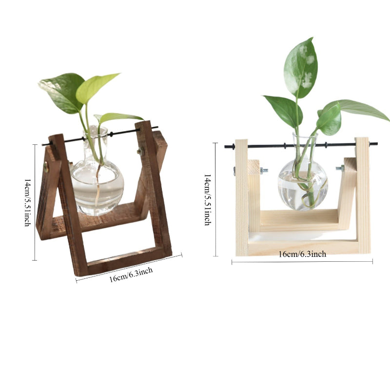 A Complete Kit for a Water Garden Featuring a Minimalist Hydroponic Glass Vase Set with a Wooden Display Stand, Perfect for Growing Herbs And Succulents, Adding a Touch of Elegance to Your Kitchen Or Workspace with Vibrant Greenery