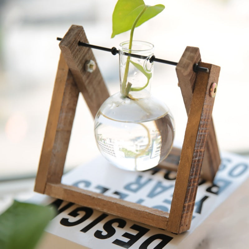 A Complete Kit for a Water Garden Featuring a Minimalist Hydroponic Glass Vase Set with a Wooden Display Stand, Perfect for Growing Herbs And Succulents, Adding a Touch of Elegance to Your Kitchen Or Workspace with Vibrant Greenery